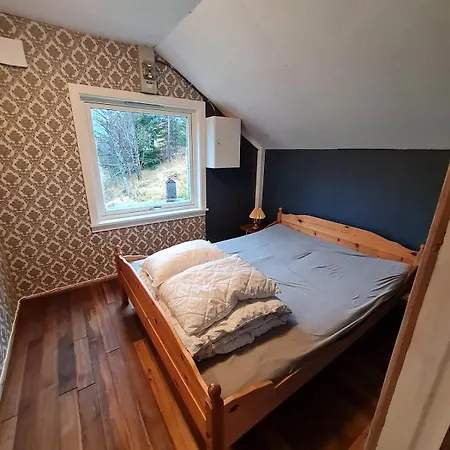 Amo Svartisen Holand (Lierne, Trondelag)