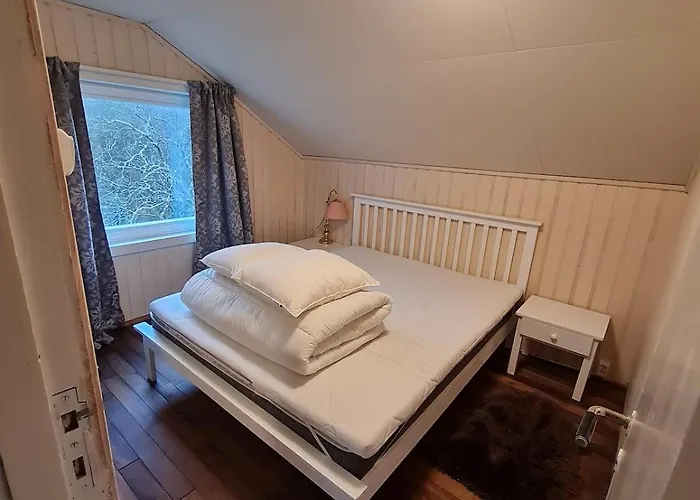 Ferienhaus Amo Svartisen *